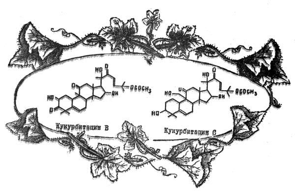 Структурные формулы кукурбитацинов B и C