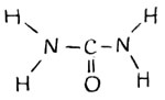 Структурная формула мочевины. Плоское строение ее молекул подтверждено рентгенографически