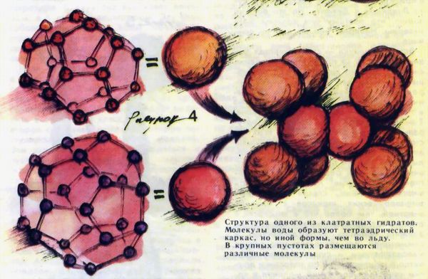 Структура одного из клатратных гидратов